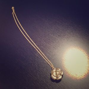 Beautiful Rose Gold Necklace